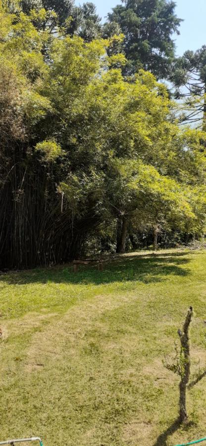 Pousada Pedacinho Do Ceu- Chale 1 库尼亚 外观 照片